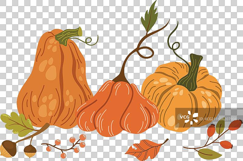 2208 秋季南瓜图片素材