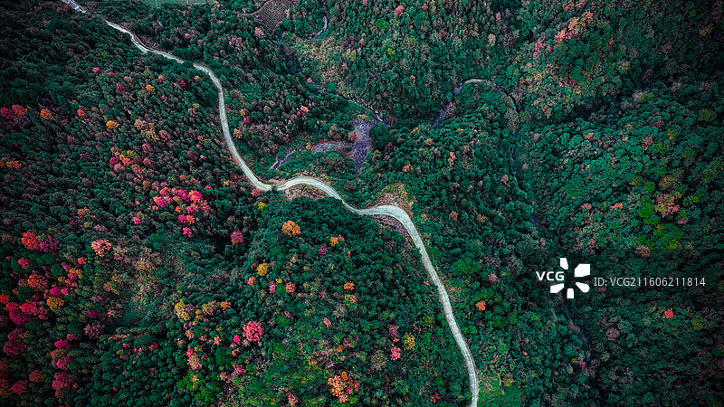 林染曲溪路图片素材