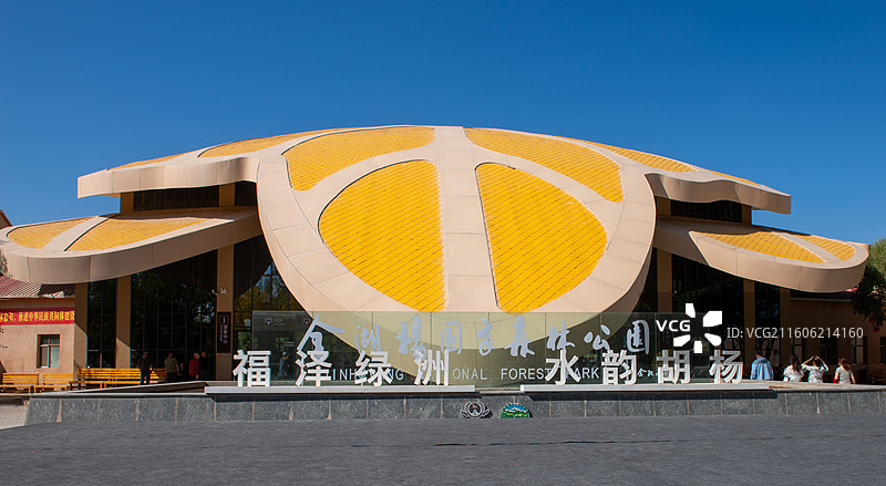 泽普金湖杨国家森林公园图片素材