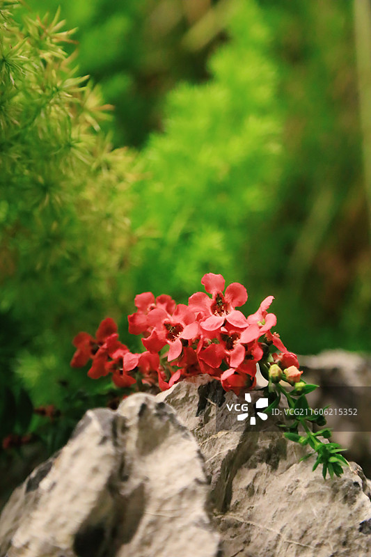 无锡堰桥江南古村落天上村前历史文化街区景点图片素材