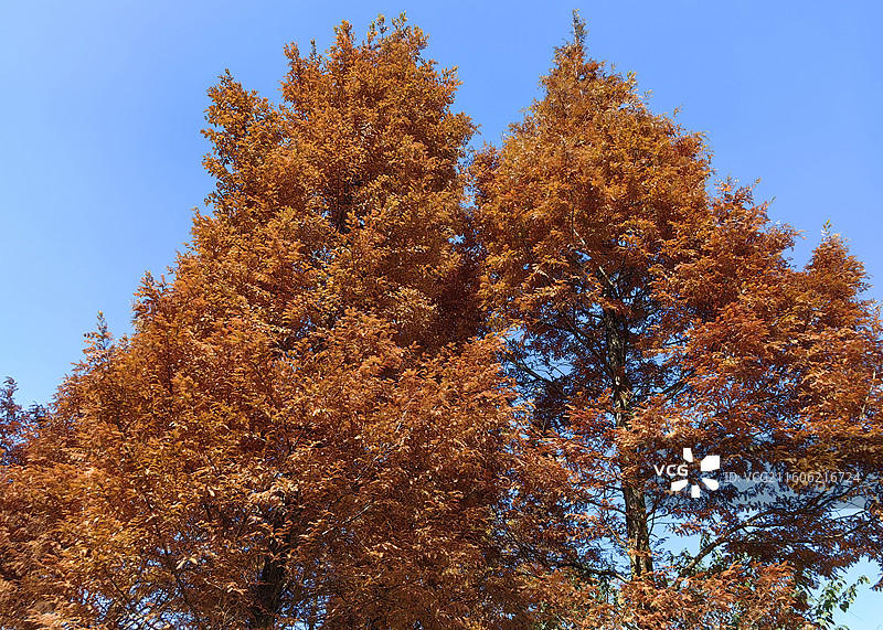 贵阳花溪十里河滩暮秋初冬色彩斑斓景色如画充满诗意与生机的地方图片素材