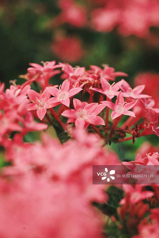 无锡堰桥江南古村落天上村前历史文化街区景点图片素材