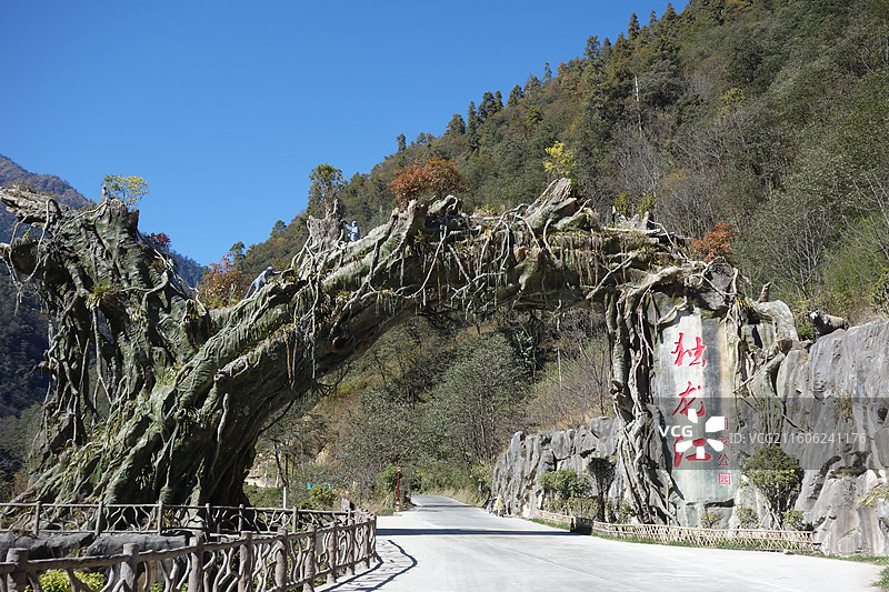 云南省怒江州贡山县独龙江：秋干洛神树桩观景台图片素材