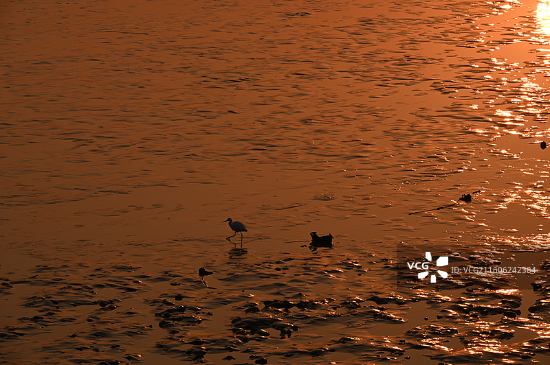 浙江省嘉兴市海盐县观海园日出图片素材