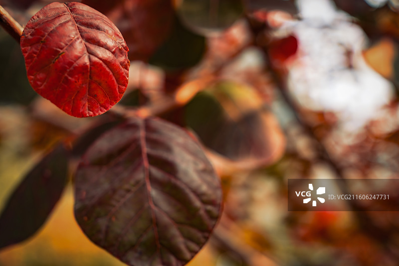 北京坡峰岭图片素材