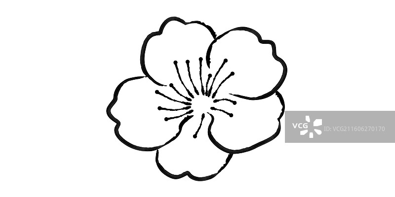 中国风梅花插图图片素材
