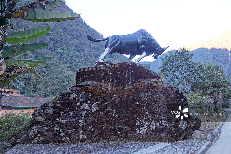 云南省怒江州贡山县独龙江乡孔当村：奔牛雕塑图片素材