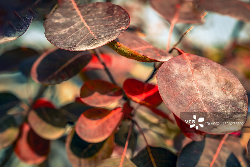北京坡峰岭图片素材