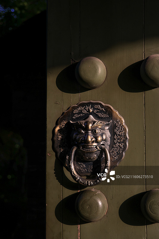 三垟湿地图片素材