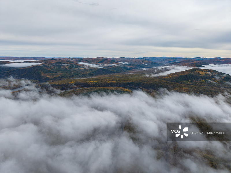 航拍白鹿岛日出云海，莫尔道嘎，内蒙古呼伦贝尔市莫尔道嘎国家森林公园图片素材