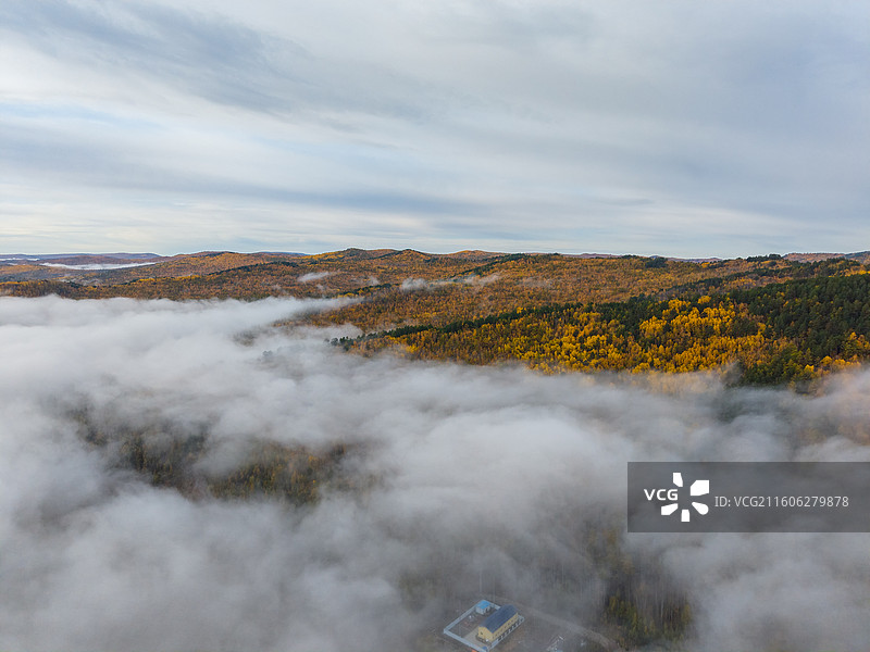 航拍白鹿岛日出云海，莫尔道嘎，内蒙古呼伦贝尔市莫尔道嘎国家森林公园图片素材