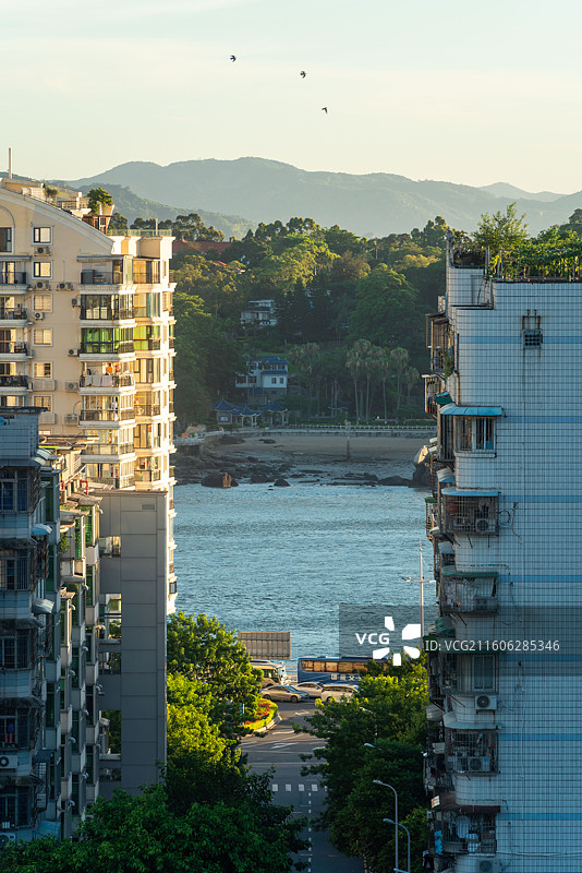 城市街道和建筑物的高角度俯瞰视图图片素材