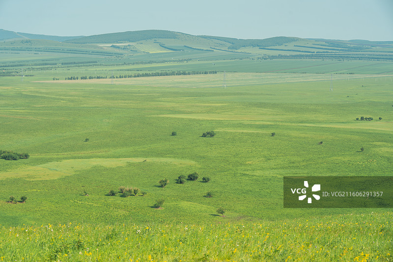 内蒙古额尔古纳国家湿地公园图片素材