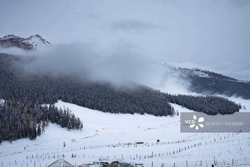 阿勒泰冬季图片素材