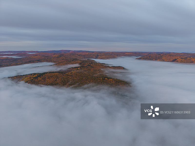 航拍白鹿岛日出云海，莫尔道嘎，内蒙古呼伦贝尔市莫尔道嘎国家森林公园图片素材