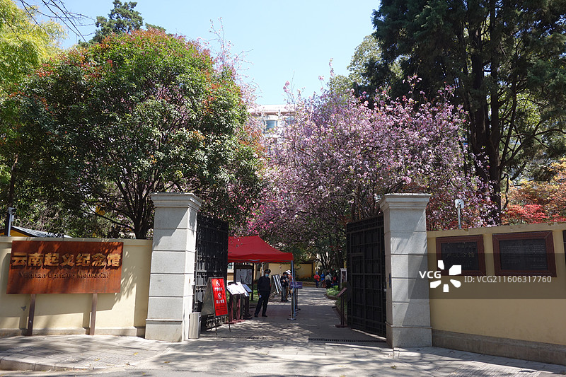 云南省昆明市city walk：昆明卢汉公馆云南起义纪念馆樱花盛开图片素材