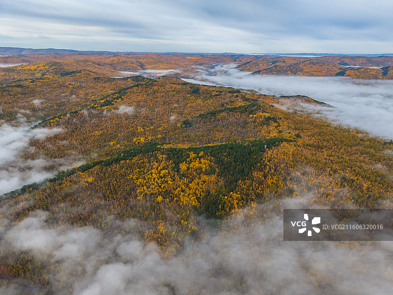 航拍白鹿岛日出云海，莫尔道嘎，内蒙古呼伦贝尔市莫尔道嘎国家森林公园图片素材