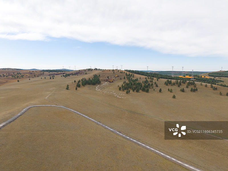 航拍下草原上的羊群，呼和诺尔湖景区，内蒙古呼伦贝尔图片素材