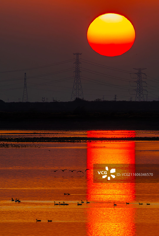 鄱阳湖夕照图片素材