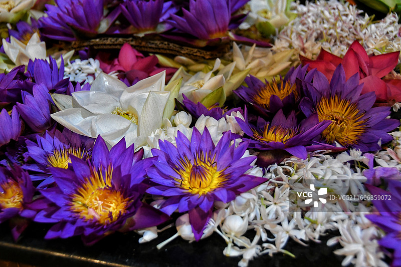 斯里兰卡 康提佛牙寺鲜花图片素材