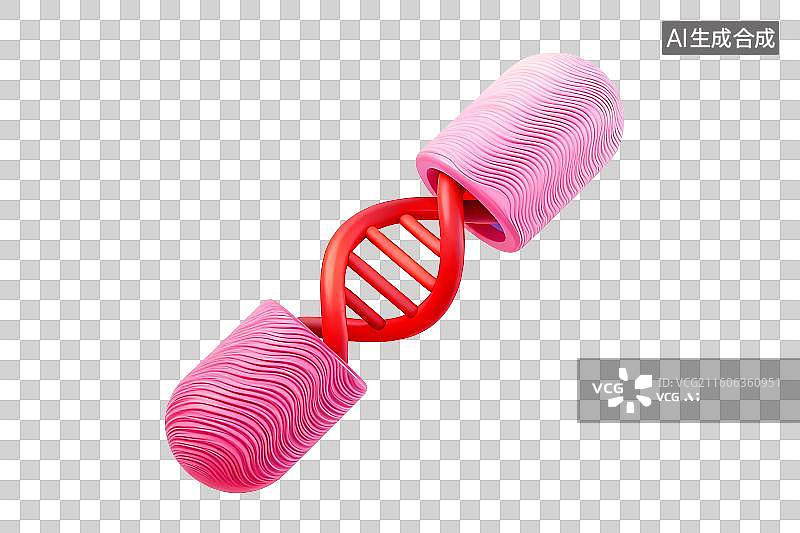 【AI数字艺术】DNA双螺旋结构教学模型图片素材