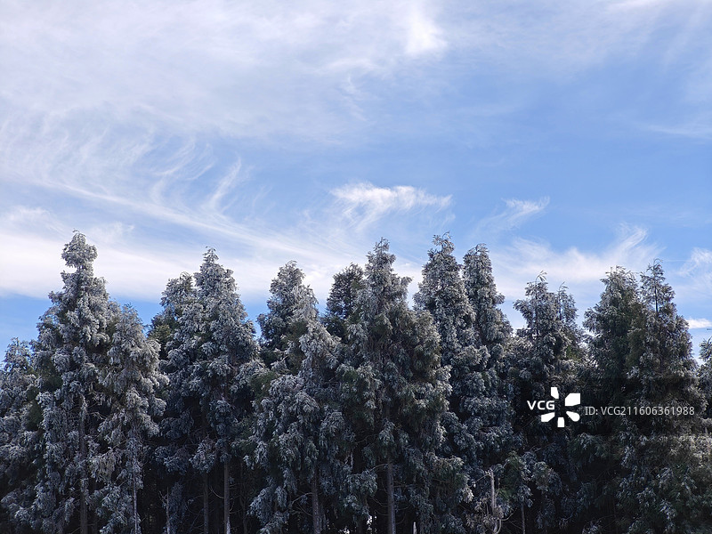 江西宜春明月山，武功山脉的一部分，5A景区。图片素材