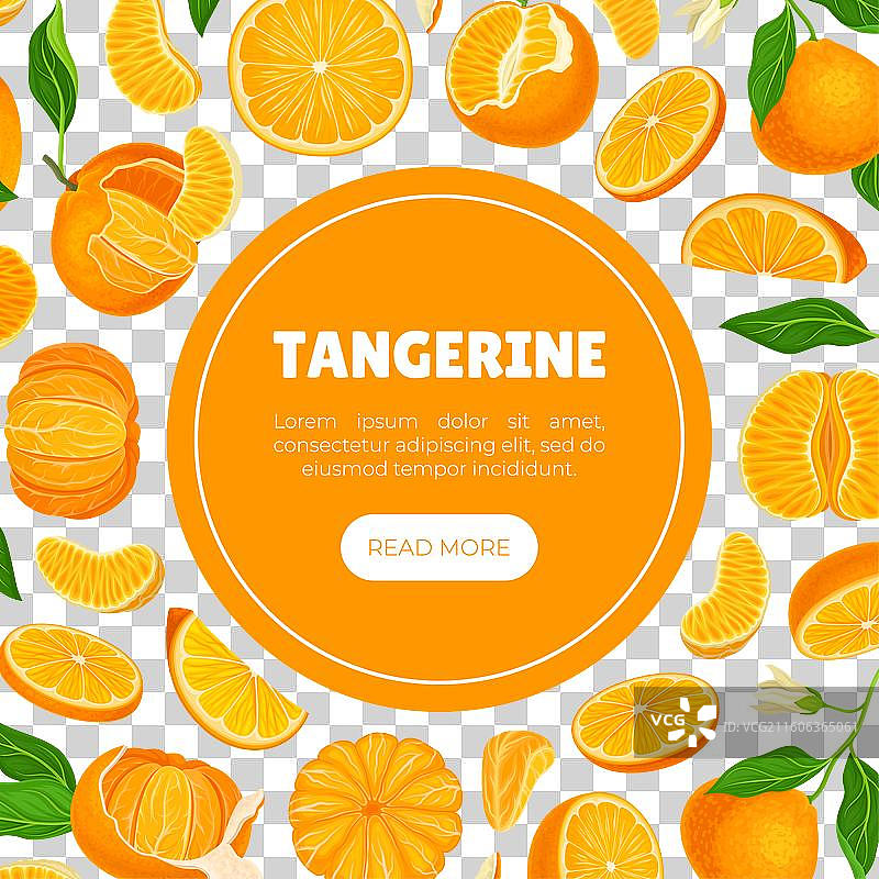 成熟的橘子水果横幅设计，带有异国情调图片素材