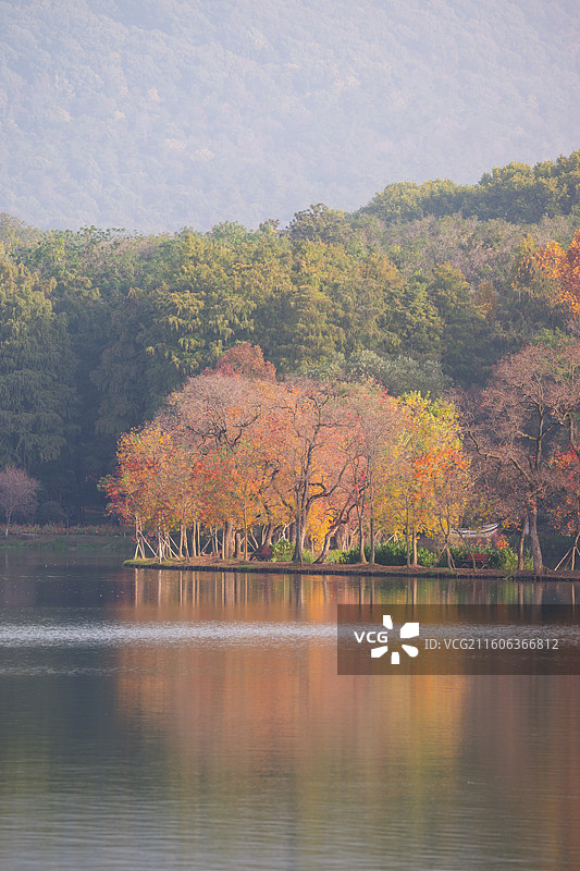 南京前湖月牙堤秋色图片素材