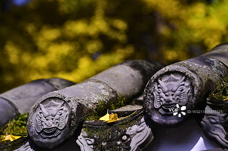 雕龙瓦当映秋色：中式屋檐上的岁月痕迹图片素材