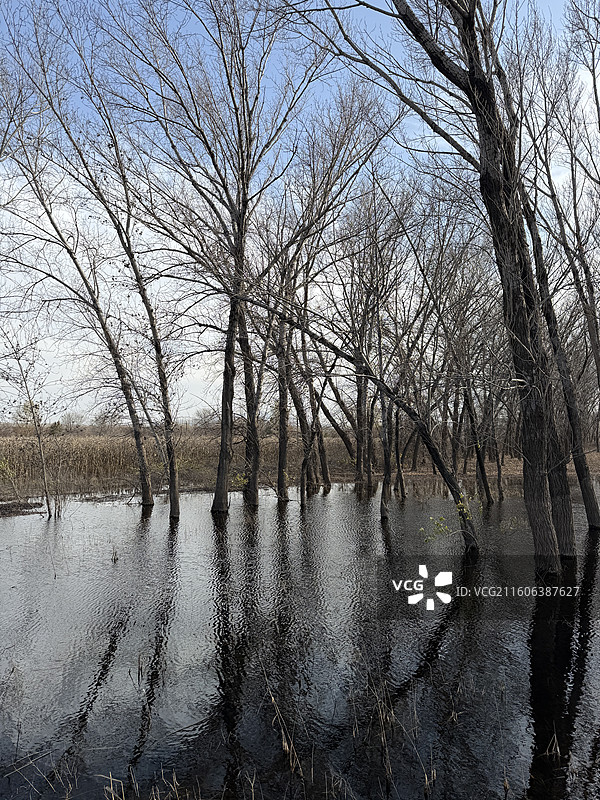 野鸭湖公园图片素材