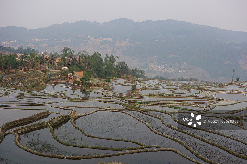 云南省红河州元阳梯田：爱春蓝梯田图片素材
