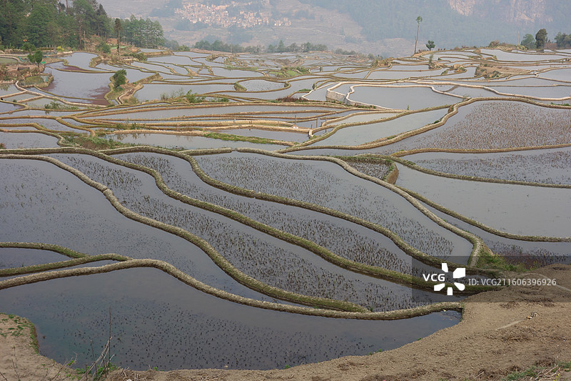 云南省红河州元阳梯田：爱春蓝梯田图片素材
