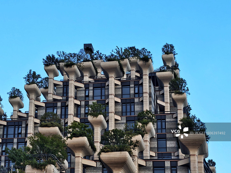 上海天安千树建筑风光图片素材