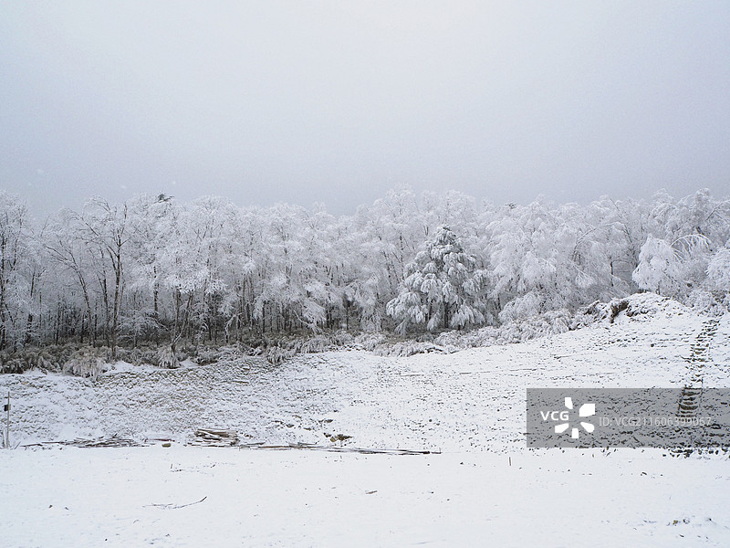 雅安喇叭河雪景图片素材