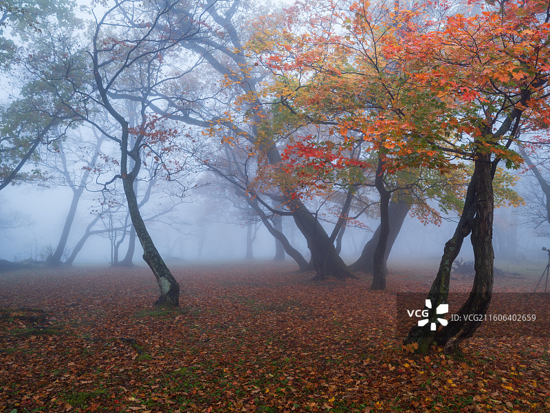 吉林通化辉南四方顶秋季风光图片素材