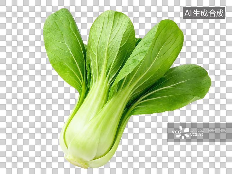【AI数字艺术】新鲜的上海青蔬菜图片素材