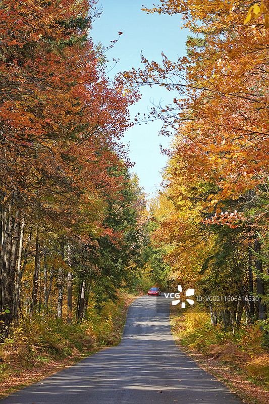 加拿大，圣安妮大峡谷，秋天森林里的公路，Canyon Sainte-Anne图片素材