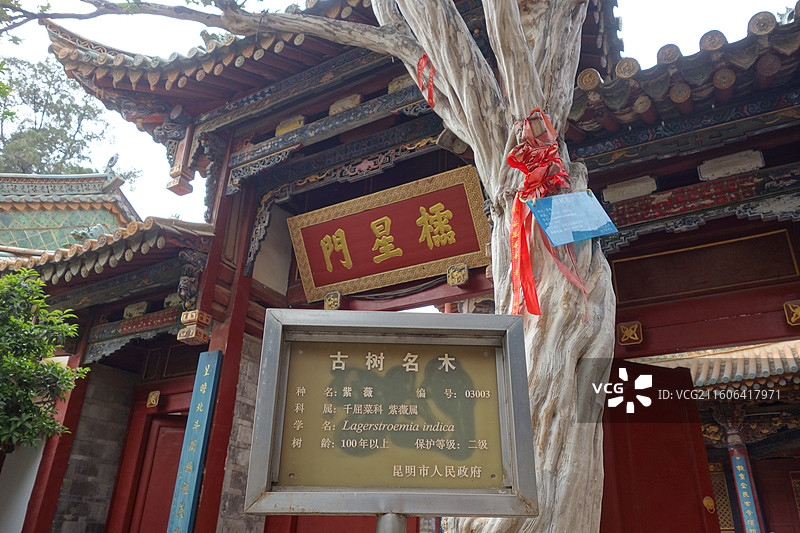 云南省昆明市官渡古镇：官渡少林寺妙湛寺棂星门紫薇古树图片素材