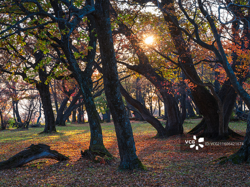 吉林通化辉南四方顶秋季风光图片素材