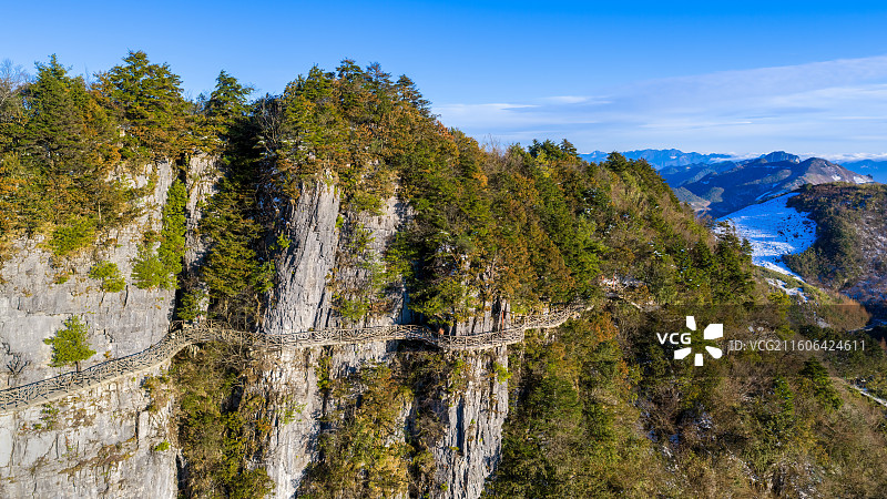 四川达州宣汉县4A级景区巴山大峡谷罗盘顶红豆杉栈道图片素材