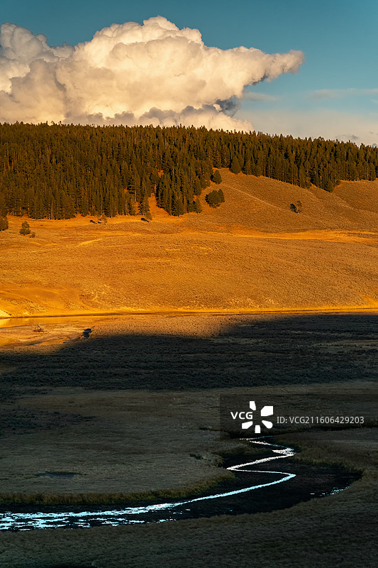 美国黄石国家公园Hayden Valley海登谷地黄昏中的金色原野、树林和河流图片素材