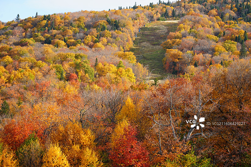 加拿大翠湖山庄Mont-Tremblant，秋天五颜六色的山林图片素材