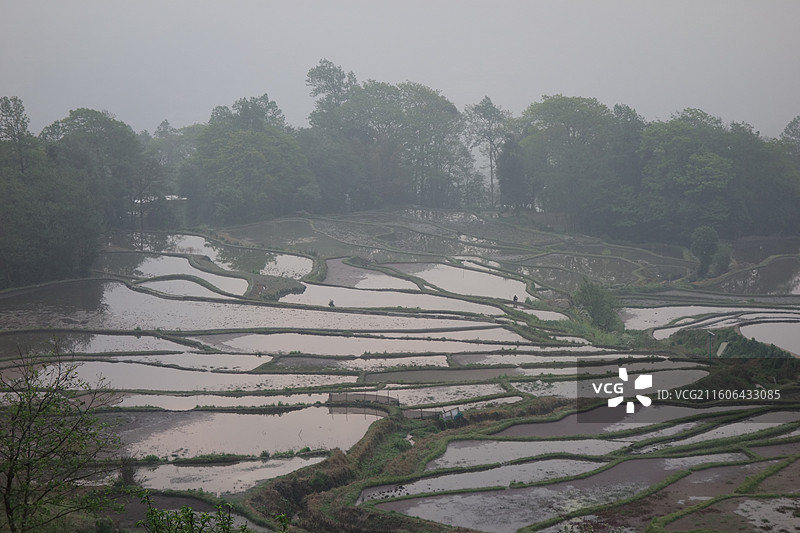 云南省红河州元阳梯田：箐口梯田日出晨曦图片素材