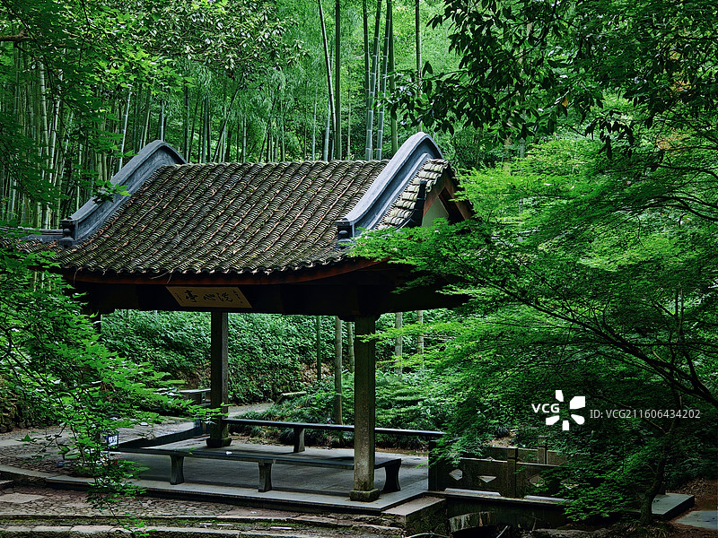 绿意洗心亭图片素材