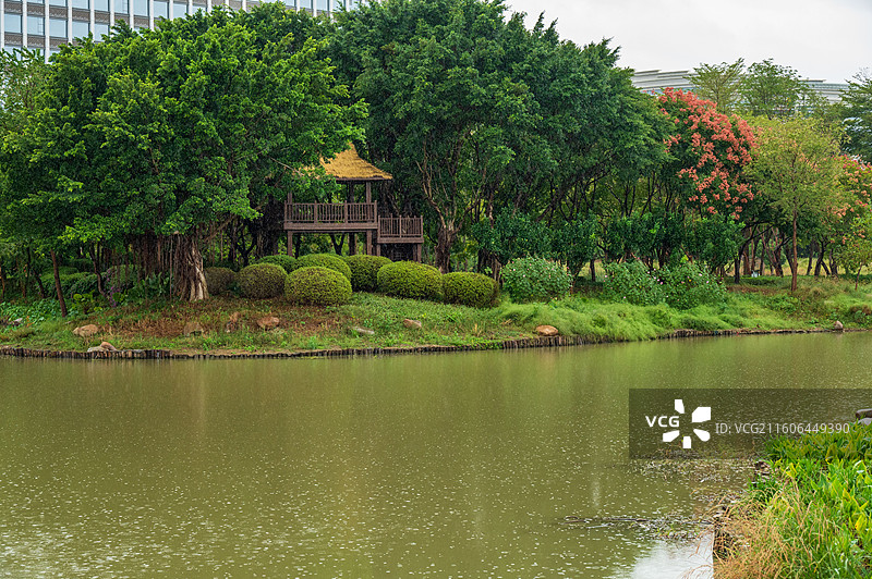 福州花海湿地公园晚霞落日阴雨植被树林草屋小桥湖水步道图片素材