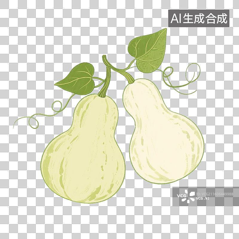 【AI数字艺术】手绘插画，南瓜，葫芦，葫芦瓜，植物，免抠元素图片素材