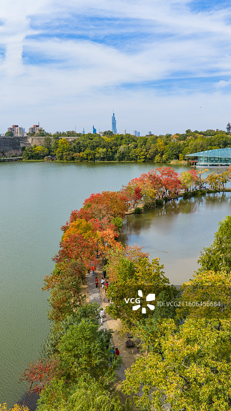 南京前湖月牙堤秋色紫金山秋天风景图片素材