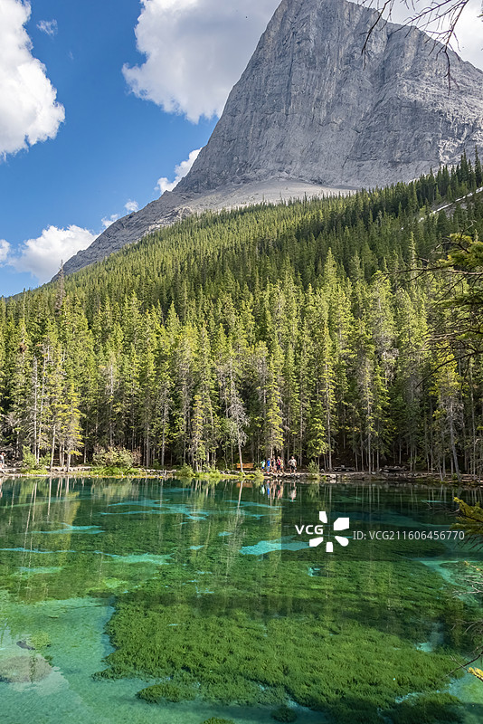 加拿大落基山脉Canmore镇Grassi湖，碧绿湖面倒映森林与雪山，自然美景尽收眼底。图片素材