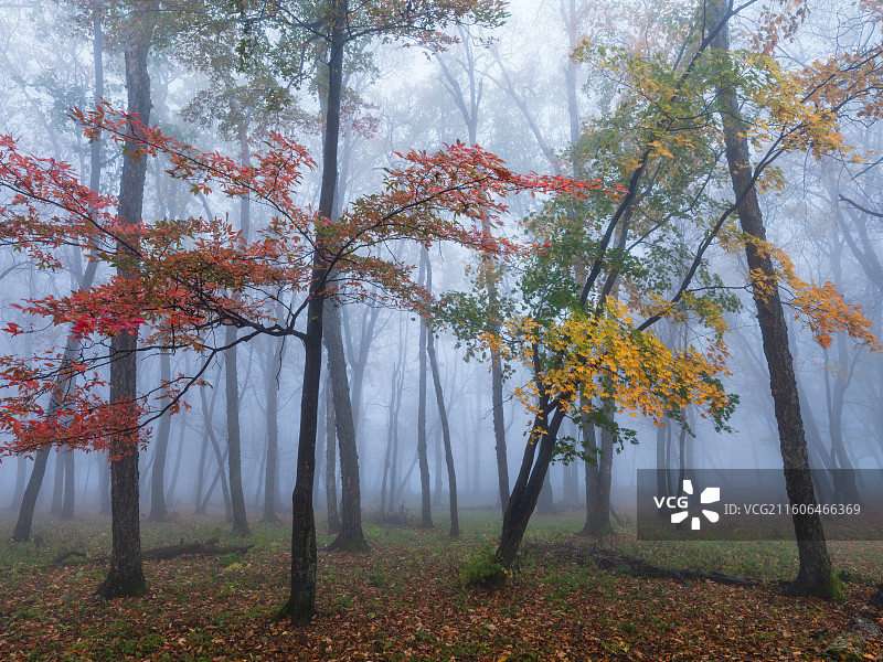吉林通化辉南四方顶秋季风光图片素材