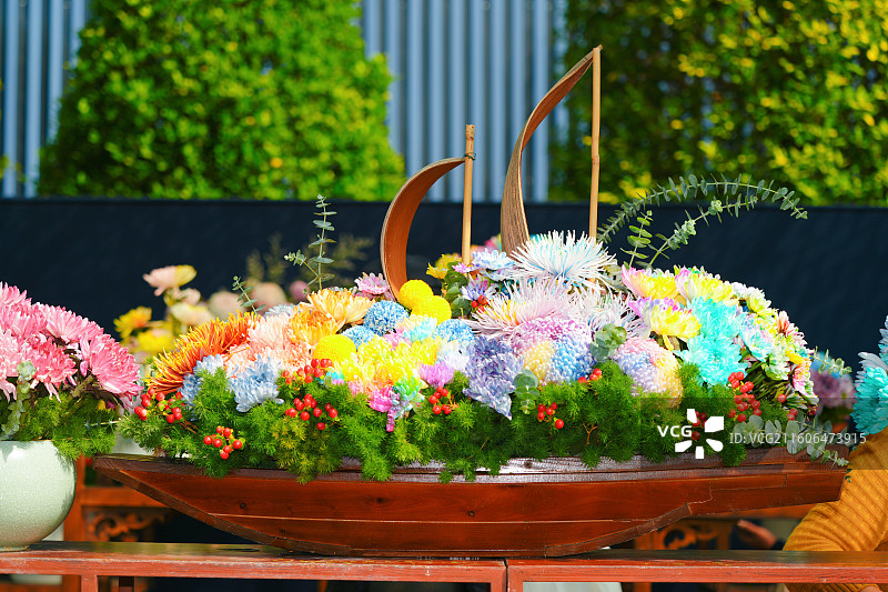 菊花盛开了图片素材